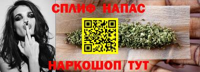 бошки Дубна