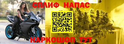 бошки Дубна